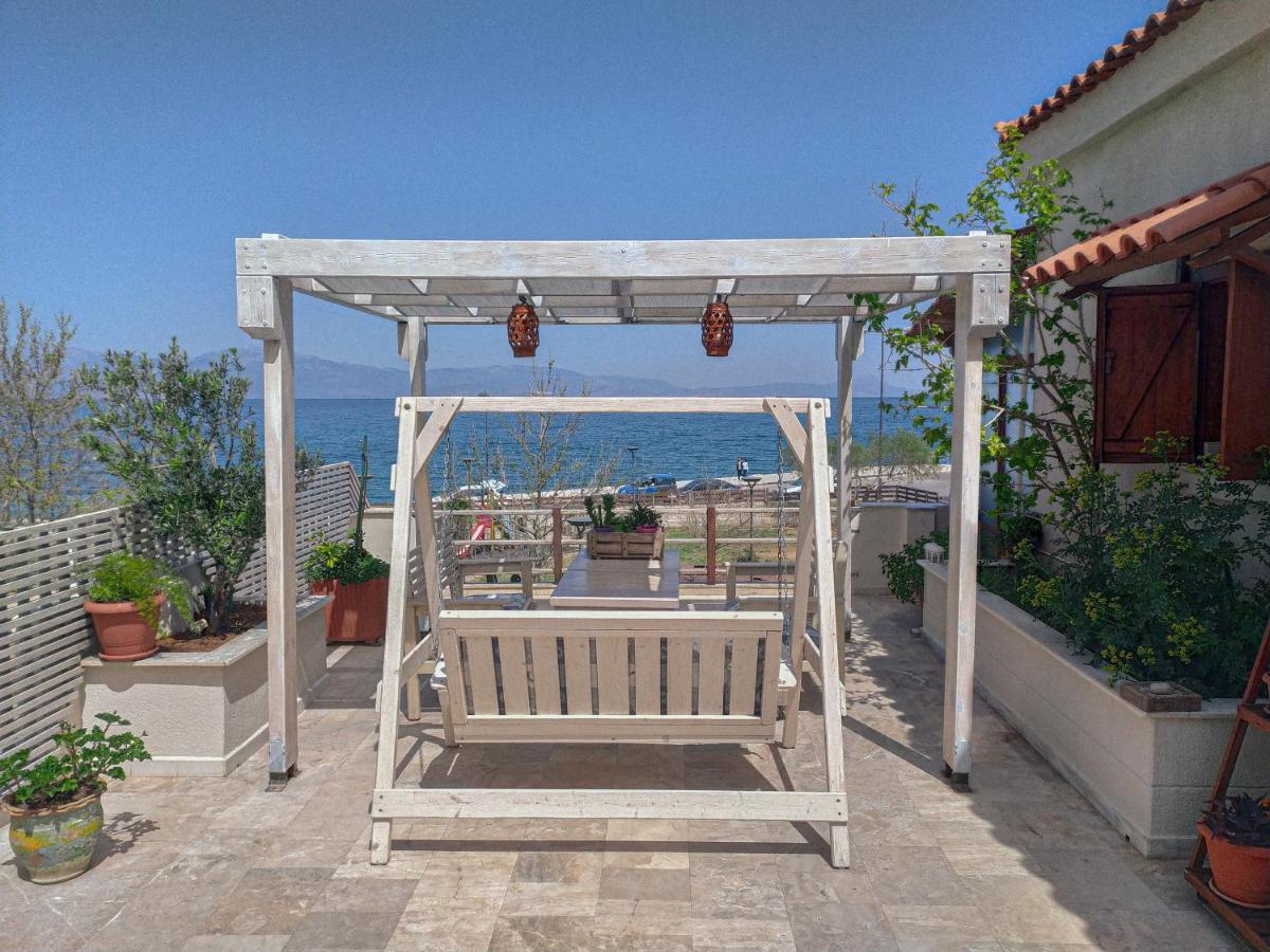 Apartment Sea View Roof Garden Kiaton